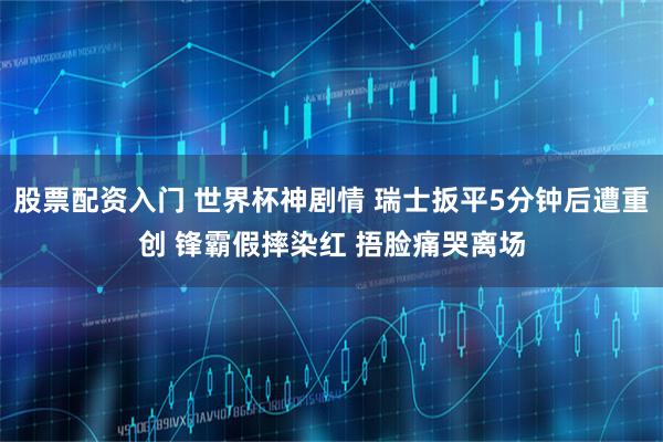 股票配资入门 世界杯神剧情 瑞士扳平5分钟后遭重创 锋霸假摔染红 捂脸痛哭离场